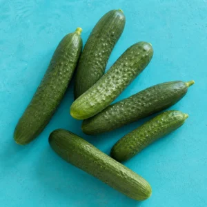 מלפפונים